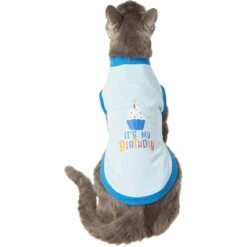 Frisco It's My Birthday & Cat T-Shirt -Pet Cat Shop 249249 PT2. AC SS1800 V1624604252