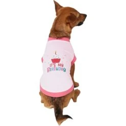 Frisco It's My Birthday Dog & Cat T-Shirt, Pink -Pet Cat Shop 249255 PT2. AC SS1800 V1624608150