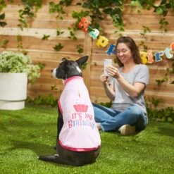 Frisco It's My Birthday Dog & Cat T-Shirt, Pink -Pet Cat Shop 249255 PT7. AC SS1800 V1614289423