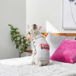 Frisco I Love Daddy Dog & Cat T-Shirt, Gray -Pet Cat Shop 249263 PT5. AC SS1800 V1624592867