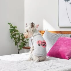 Frisco I Love Daddy Dog & Cat T-Shirt, Gray -Pet Cat Shop 249263 PT7. AC SS1800 V1614284197