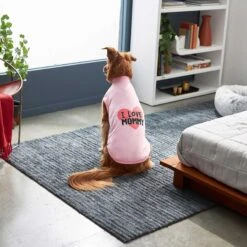 Frisco I Love Mommy Dog & Cat T-Shirt 12 Frisco I Love Mommy Dog & Cat T-Shirt -Pet Cat Shop 249271 PT5. AC SS1800 V1624608758