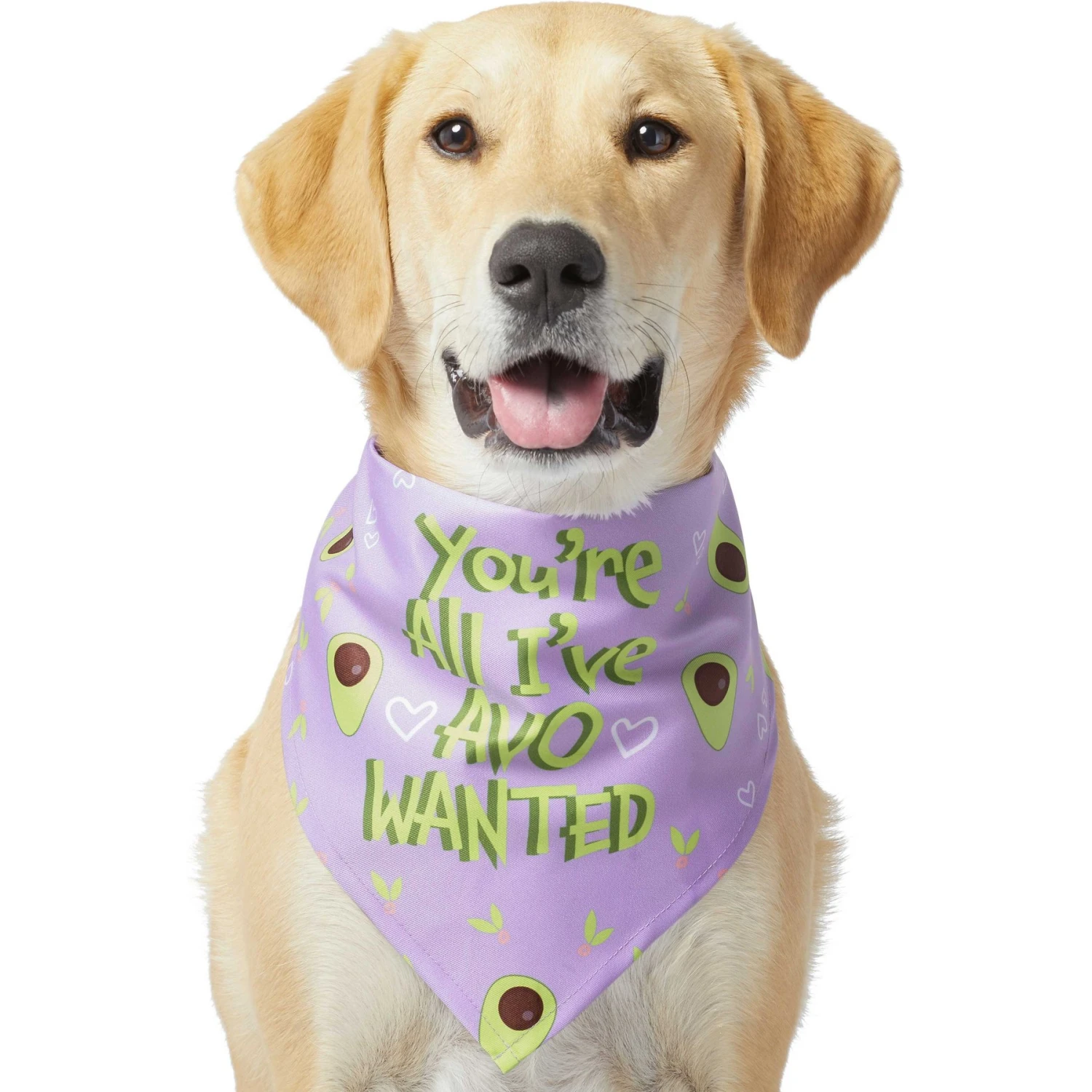 Frisco You're All I've Avo Wanted Dog & Cat Bandana 3 Frisco You're All I've Avo Wanted Dog & Cat Bandana - Image 3