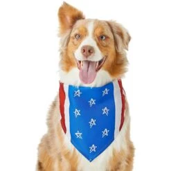 Frisco Stars & Stripes Dog & Cat Bandana -Pet Cat Shop 249329 PT2. AC SS1800 V1632418569