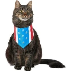 Frisco Stars & Stripes Dog & Cat Bandana -Pet Cat Shop 249329 PT3. AC SS1800 V1632422490