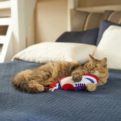 Frisco Baseball Cleat Cat Toy -Pet Cat Shop 252734 PT5. AC SS1800 V1615814504