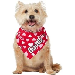Frisco XOXO Hearts Personalized Dog & Cat Bandana -Pet Cat Shop 254203 PT6. AC SS1800 V1632427913