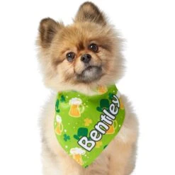 Frisco Green Ale Personalized Dog & Cat Bandana -Pet Cat Shop 254207 PT6. AC SS1800 V1618509755
