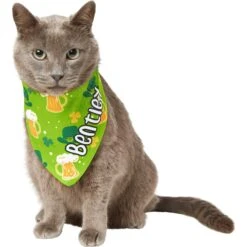 Frisco Green Ale Personalized Dog & Cat Bandana -Pet Cat Shop 254207 PT7. AC SS1800 V1618510956