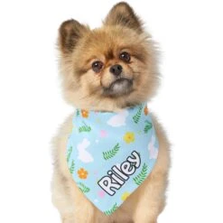Frisco Easter Bunny Personalized Dog & Cat Bandana 15 Frisco Easter Bunny Personalized Dog & Cat Bandana -Pet Cat Shop 254211 PT6. AC SS1800 V1618509425