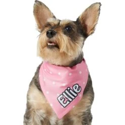 Frisco Polka Dot Personalized Dog & Cat Bandana 15 Frisco Polka Dot Personalized Dog & Cat Bandana -Pet Cat Shop 254223 PT6. AC SS1800 V1696432728