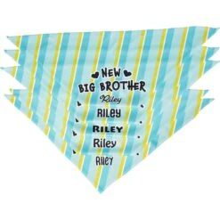Frisco Big Brother Personalized Dog & Cat Bandana -Pet Cat Shop 254231 PT4. AC SS1800 V1633065997