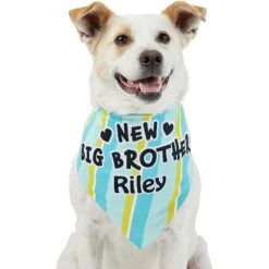Frisco Big Brother Personalized Dog & Cat Bandana -Pet Cat Shop 254231 PT6. AC SS1800 V1633071398