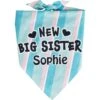 Frisco Big Sister Personalized Dog & Cat Bandana