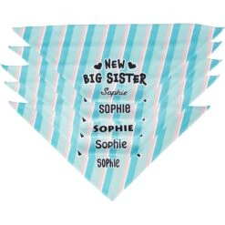 Frisco Big Sister Personalized Dog & Cat Bandana -Pet Cat Shop 254235 PT4. AC SS1800 V1619558530