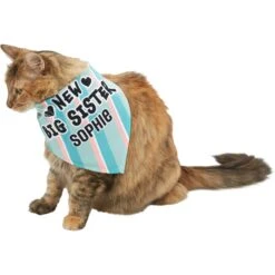 Frisco Big Sister Personalized Dog & Cat Bandana -Pet Cat Shop 254235 PT7. AC SS1800 V1619560404