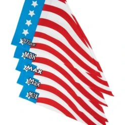 Frisco Americana Personalized Dog & Cat Bandana -Pet Cat Shop 254239 PT4. AC SS1800 V1619558868