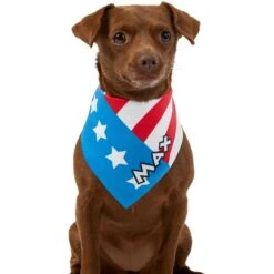 Frisco Americana Personalized Dog & Cat Bandana -Pet Cat Shop 254239 PT6. AC SS1800 V1619558231