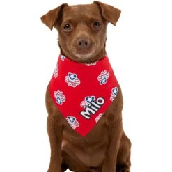 Frisco Patriotic Paws Personalized Dog & Cat Bandana 15 Frisco Patriotic Paws Personalized Dog & Cat Bandana -Pet Cat Shop 254243 PT6. AC SS1800 V1619557657
