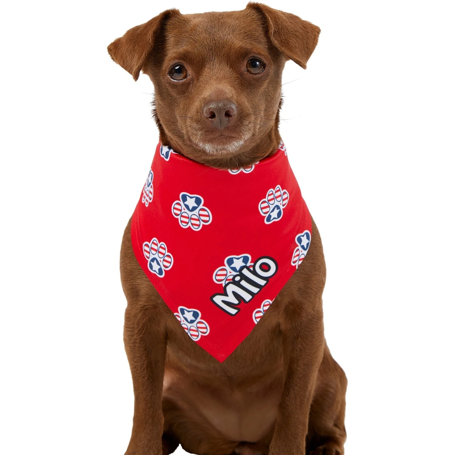 Frisco Patriotic Paws Personalized Dog & Cat Bandana 7 Frisco Patriotic Paws Personalized Dog & Cat Bandana - Image 7