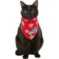 Frisco Patriotic Paws Personalized Dog & Cat Bandana 16 Frisco Patriotic Paws Personalized Dog & Cat Bandana -Pet Cat Shop 254243 PT7. AC SS1800 V1619559130