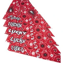 Frisco Paisley Printed Personalized Dog & Cat Bandana -Pet Cat Shop 254247 PT4. AC SS1800 V1618511570