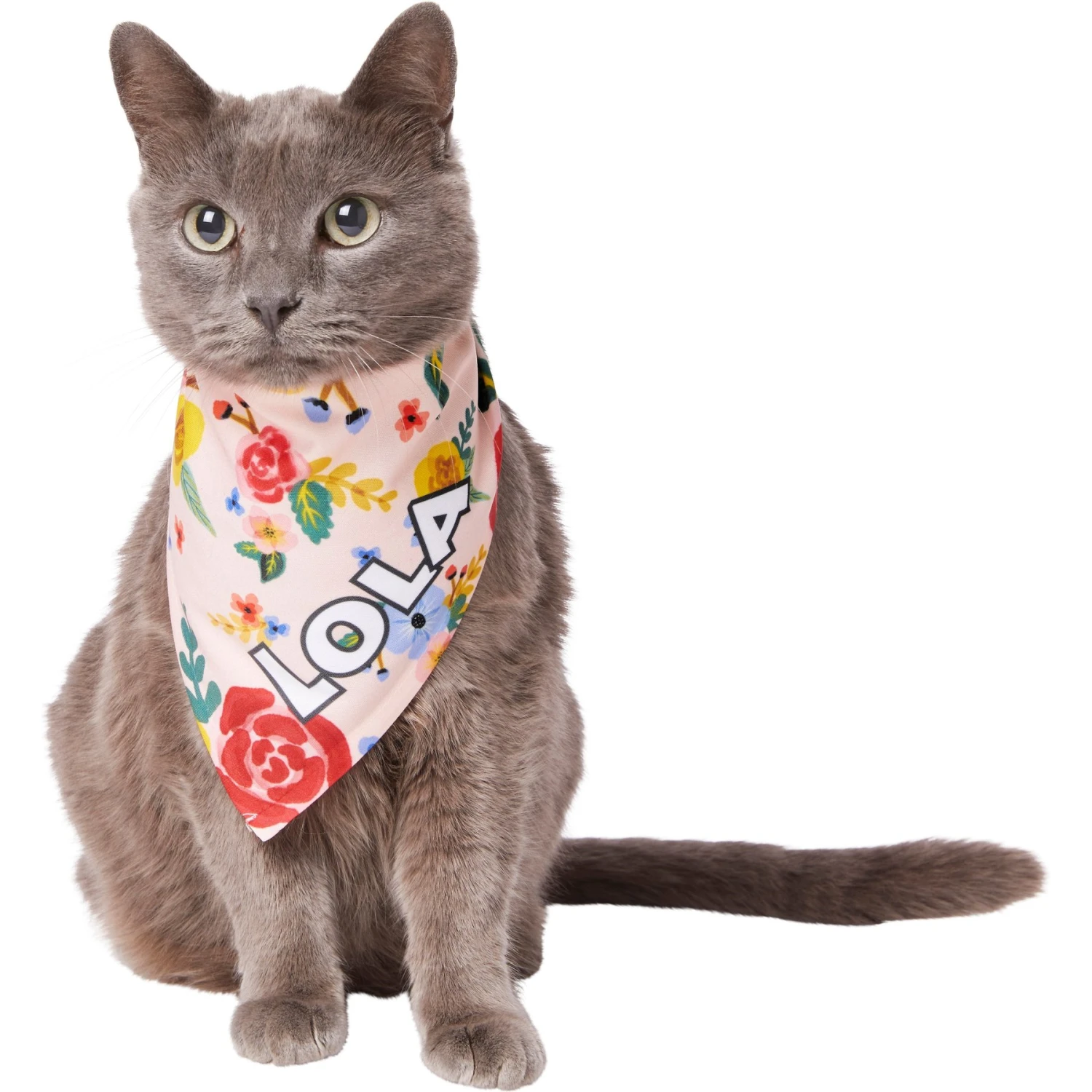 Frisco Floral Personalized Dog & Cat Bandana 8 Frisco Floral Personalized Dog & Cat Bandana - Image 8