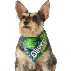 Frisco Tropical Palms Personalized Dog & Cat Bandana -Pet Cat Shop 254259 PT6. AC SS1800 V1632425201