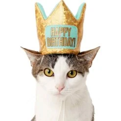 Frisco Happy Birthday Dog & Cat Crown & Frisco Dog & Cat Birthday Bandana -Pet Cat Shop 255523 PT2. AC SS1800 V1603716120