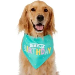 Frisco Happy Birthday Dog & Cat Crown & Frisco Dog & Cat Birthday Bandana -Pet Cat Shop 255523 PT3. AC SS1800 V1603716114