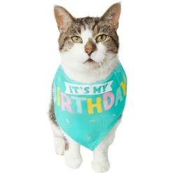 Frisco Happy Birthday Dog & Cat Crown & Frisco Dog & Cat Birthday Bandana -Pet Cat Shop 255523 PT4. AC SS1800 V1603716120