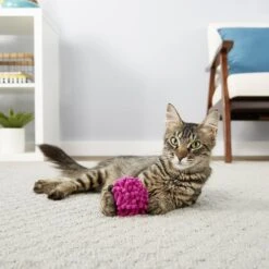Frisco Moppy Ball Cat Toy With Catnip & Frisco Moppy Ball Cat Toy With Catnip -Pet Cat Shop 255585 PT4. AC SS1800 V1602691598