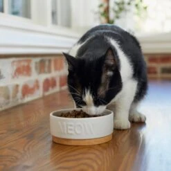 Frisco Round Meow Non-skid Ceramic Cat Bowl With Wood Base -Pet Cat Shop 256078 PT2. AC SS1800 V1615313612