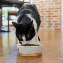 Frisco Oval Meow Non-skid Ceramic Cat Bowl With Wood Base -Pet Cat Shop 256080 PT2. AC SS1800 V1615310782