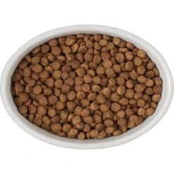 Frisco Oval Meow Non-skid Ceramic Cat Bowl With Wood Base -Pet Cat Shop 256080 PT5. AC SS1800 V1615312016