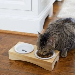 Frisco Double Elevated Cat Bowl With Wood Stand -Pet Cat Shop 256082 PT2. AC SS1800 V1615312650