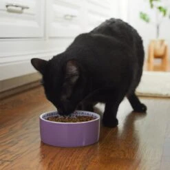 Frisco Kaleidoscope Pattern Non-skid Ceramic Dog & Cat Bowl -Pet Cat Shop 256090 PT2. AC SS1800 V1615311092