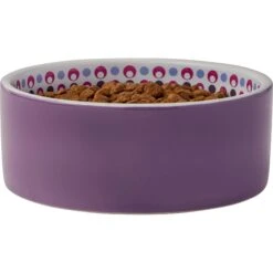 Frisco Kaleidoscope Pattern Non-skid Ceramic Dog & Cat Bowl -Pet Cat Shop 256090 PT3. AC SS1800 V1615311698