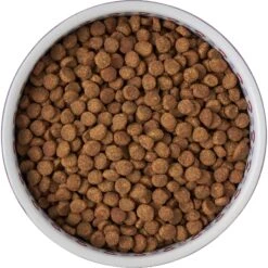 Frisco Kaleidoscope Pattern Non-skid Ceramic Dog & Cat Bowl -Pet Cat Shop 256090 PT5. AC SS1800 V1615312887