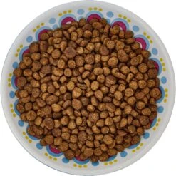Frisco Kaleidoscope Pattern Non-skid Ceramic Cat Dish -Pet Cat Shop 256092 PT5. AC SS1800 V1617042691