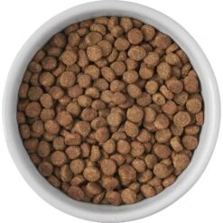 Frisco Cat Print Non-skid Elevated Ceramic Cat Bowl, Short 10 Frisco Cat Print Non-skid Elevated Ceramic Cat Bowl, Short -Pet Cat Shop 256096 PT4. AC SS1800 V1616522576