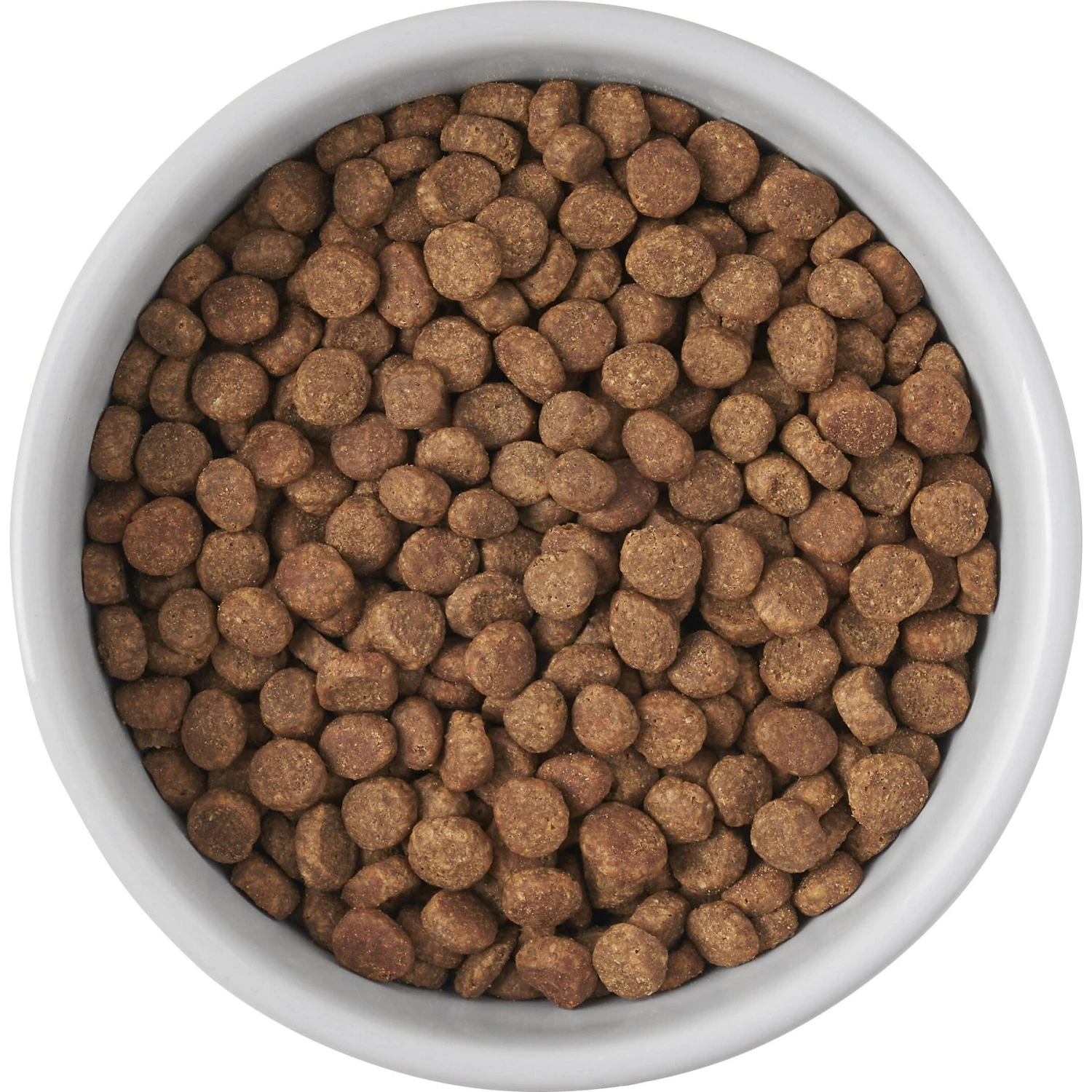 Frisco Cat Print Non-skid Elevated Ceramic Cat Bowl, Short 5 Frisco Cat Print Non-skid Elevated Ceramic Cat Bowl, Short - Image 5