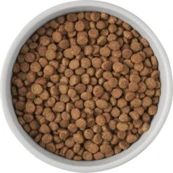 Frisco Cat Print Non-Skid Elevated Ceramic Cat Bowl, Tall -Pet Cat Shop 256099 PT4. AC SS1800 V1616522538