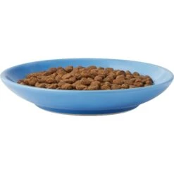 Frisco Cat Face Non-skid Ceramic Cat Dish, Blue 10 Frisco Cat Face Non-skid Ceramic Cat Dish, Blue -Pet Cat Shop 256101 PT4. AC SS1800 V1617130592