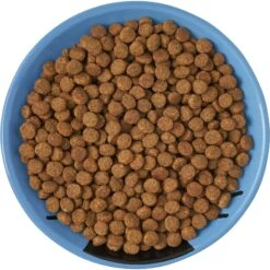 Frisco Cat Face Non-skid Ceramic Cat Dish, Blue 11 Frisco Cat Face Non-skid Ceramic Cat Dish, Blue -Pet Cat Shop 256101 PT5. AC SS1800 V1615321282