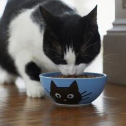 Frisco Cat Face Non-skid Ceramic Cat Bowl, Blue -Pet Cat Shop 256103 PT4. AC SS1800 V1617997004