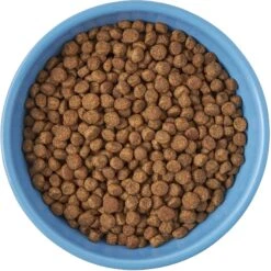 Frisco Cat Face Non-skid Ceramic Cat Bowl, Blue -Pet Cat Shop 256103 PT5. AC SS1800 V1615312900