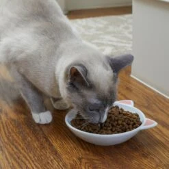 Frisco Cat Face Non-skid Ceramic Cat Dish -Pet Cat Shop 256105 PT2. AC SS1800 V1615310882