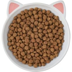 Frisco Cat Face Non-skid Ceramic Cat Dish -Pet Cat Shop 256105 PT5. AC SS1800 V1615321295