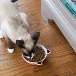 Frisco Cat Face Non-skid Ceramic Cat Bowl, Pink -Pet Cat Shop 256107 PT2. AC SS1800 V1616522589
